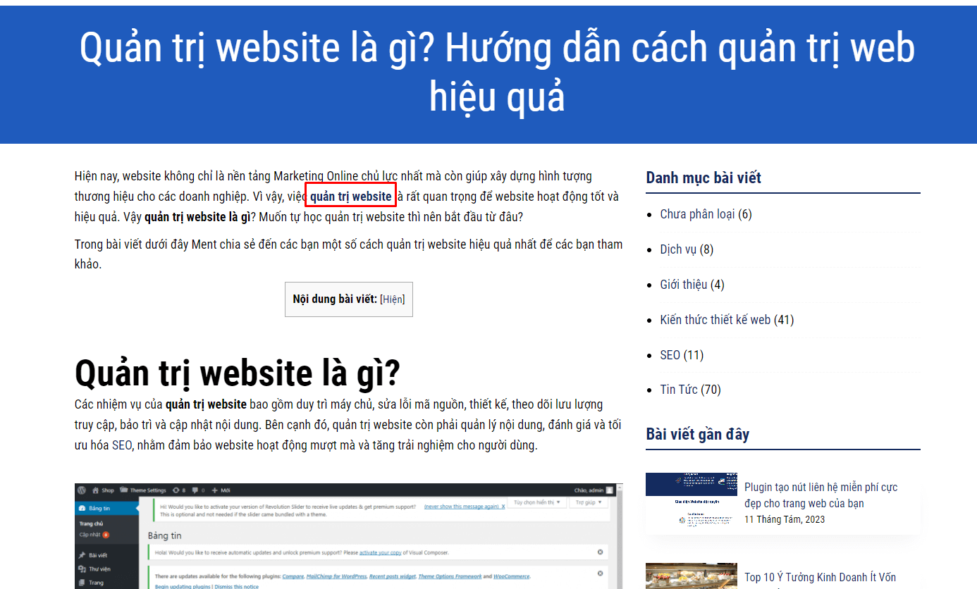 Phần mở đầu nên chứa từ khóa và thu hút người dùng bằng cách hứa hẹn giá trị cho truy vấn của người dùng