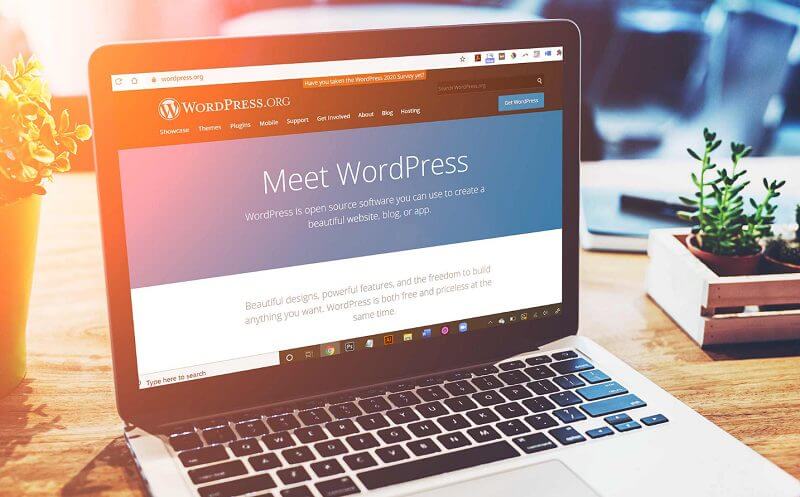 Giá thiết kế 1 website wordpress hết bao nhiêu